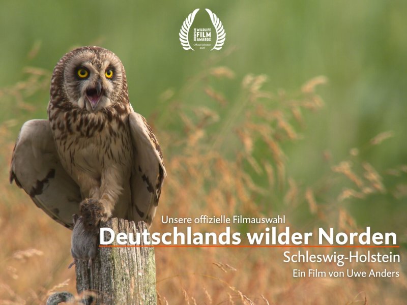 Deutschlands wilder Norden - Schleswig-Holstein