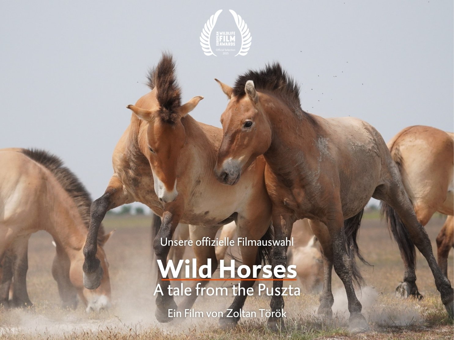 WILD HORSES - A TALE FROM THE PUSZTA