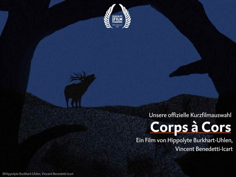 Corps à Cors