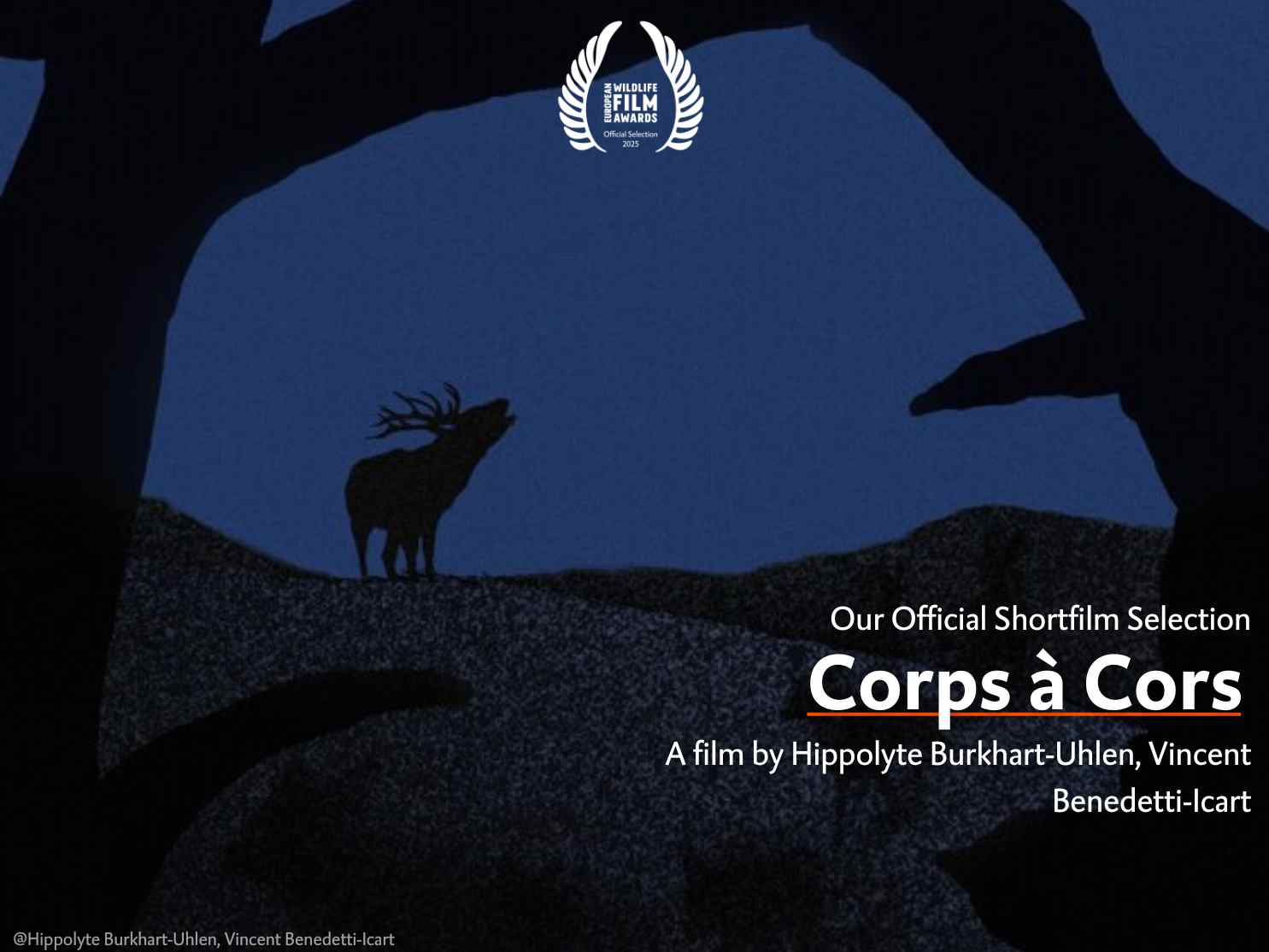 Corps à Cors