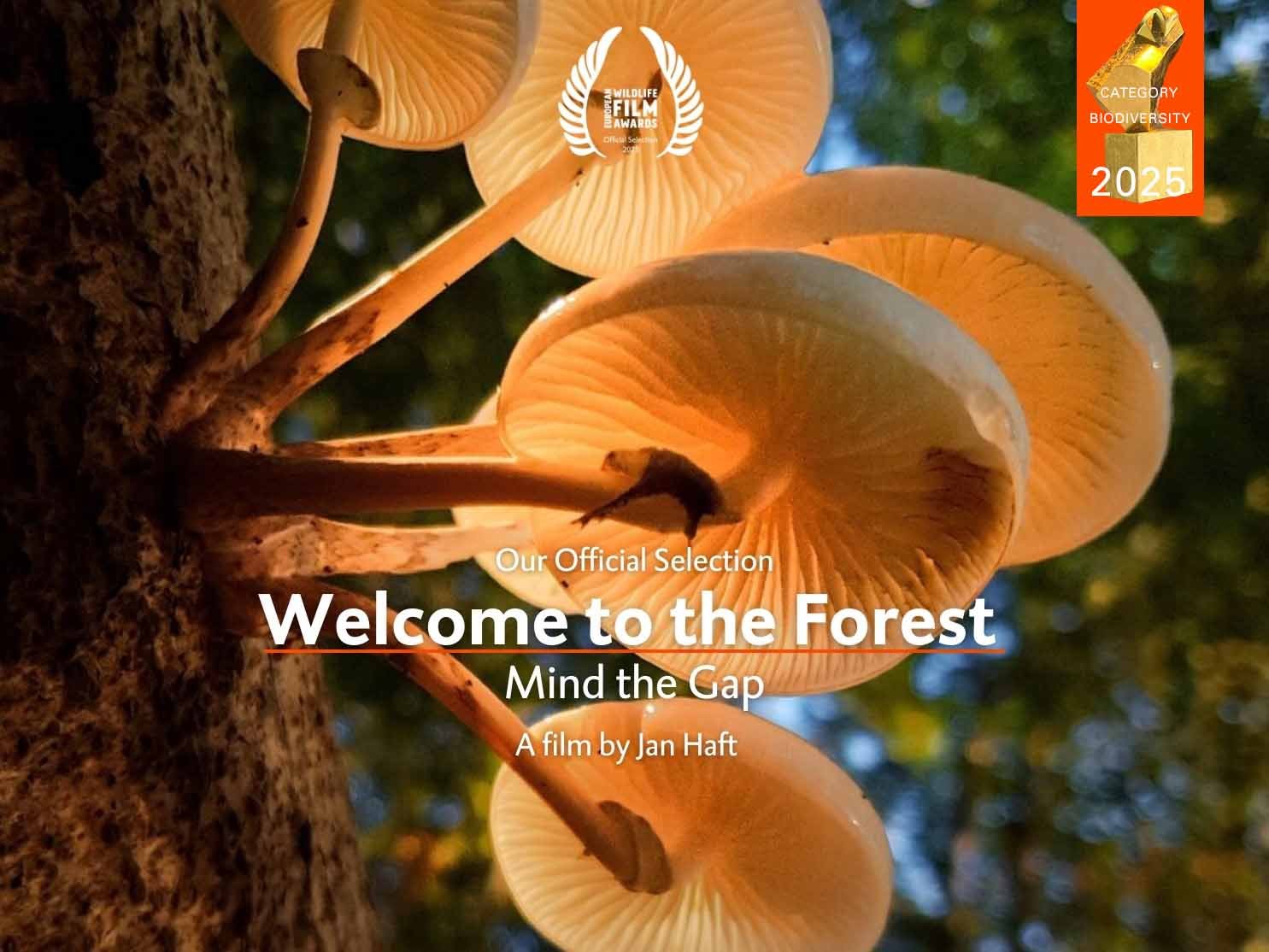 WELCOME TO THE FOREST - MIND THE GAP