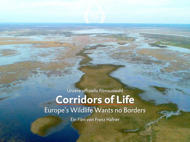 Corridors of Life – Europe's Wildlife Wants no Borders