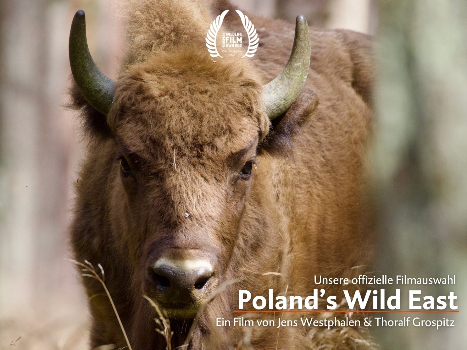 Poland's Wild East