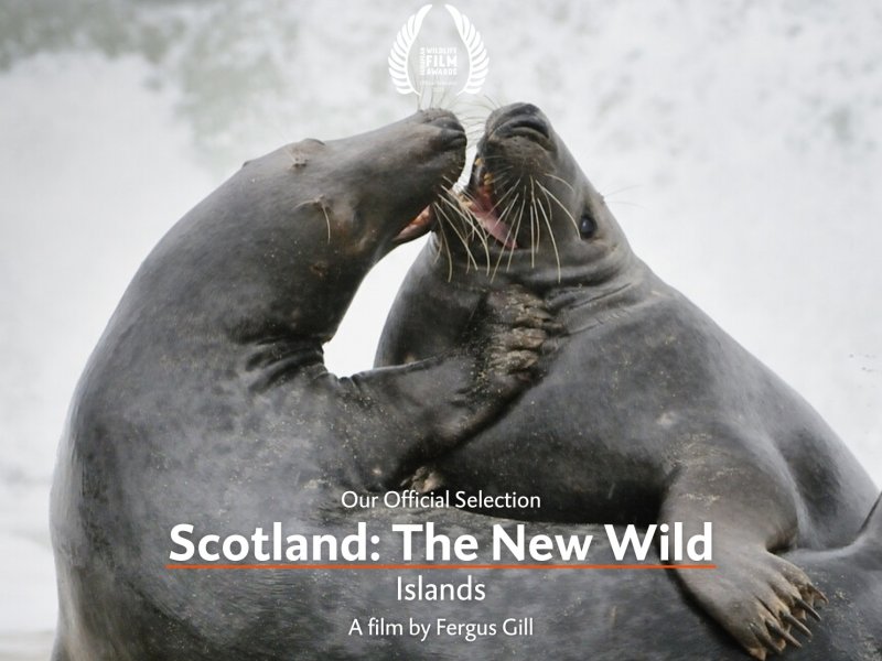 Scotland: The New Wild EP01 Islands