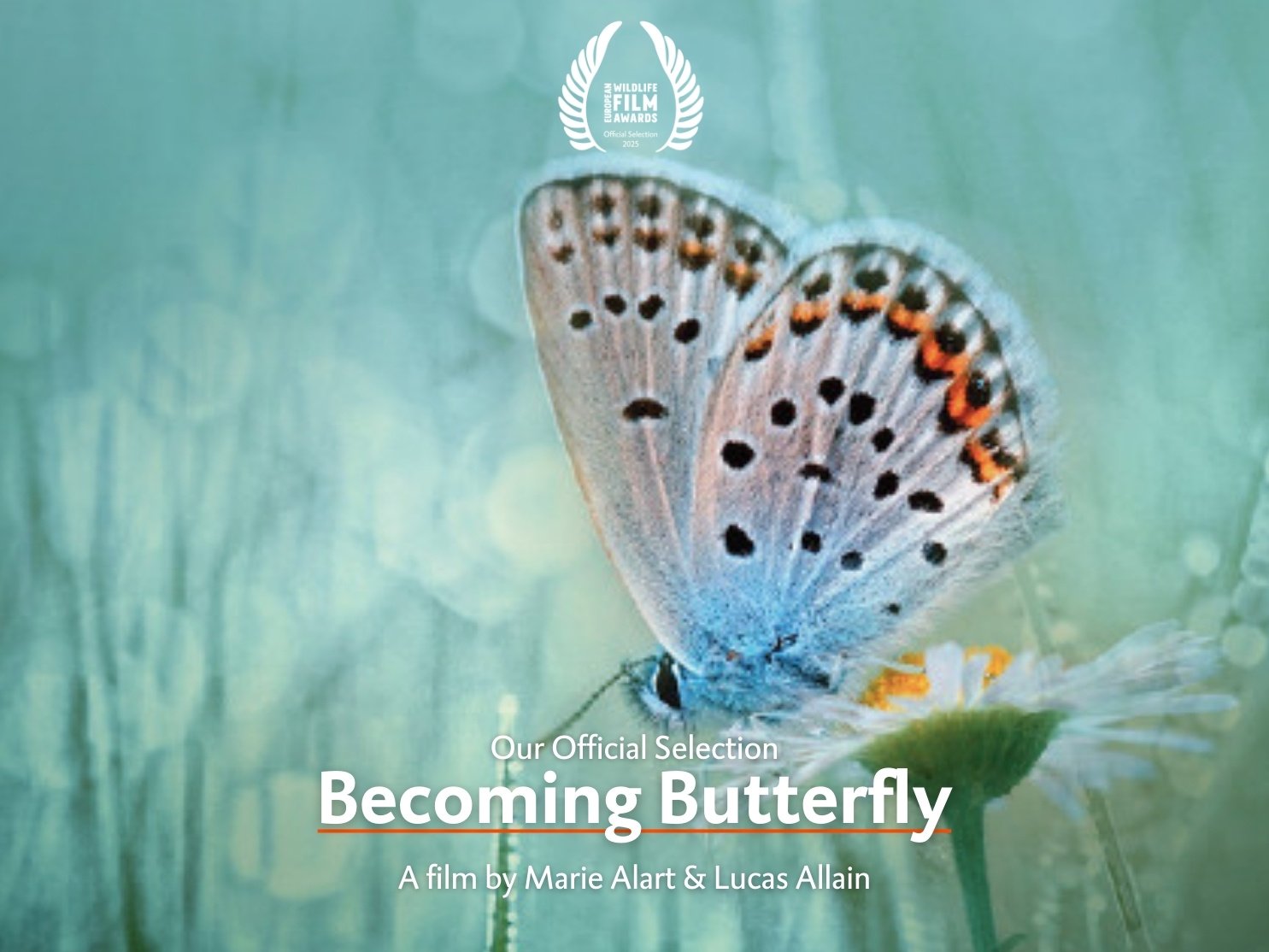 Becoming Butterfly