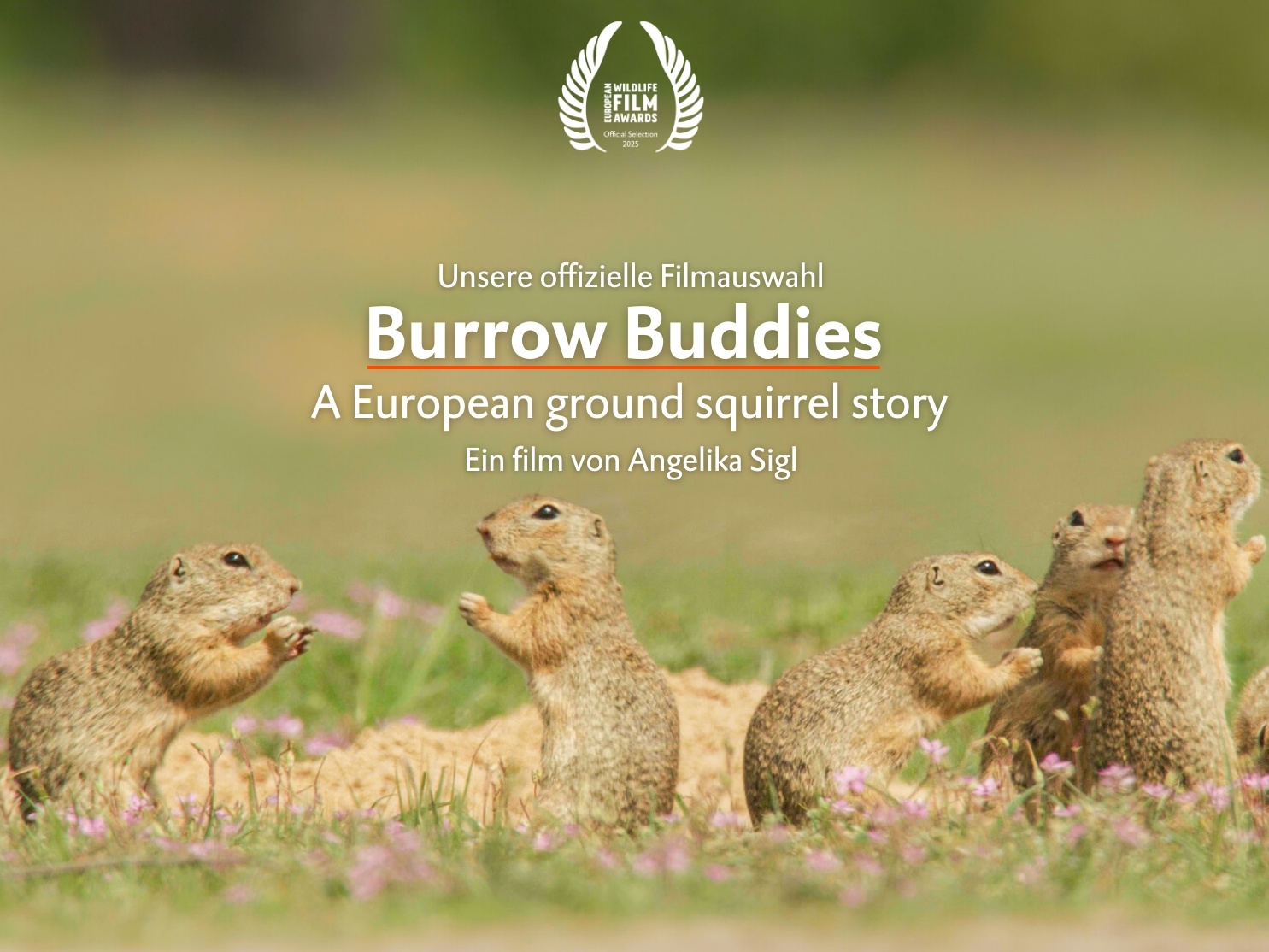 Burrow Buddies - A European ground squirrel story