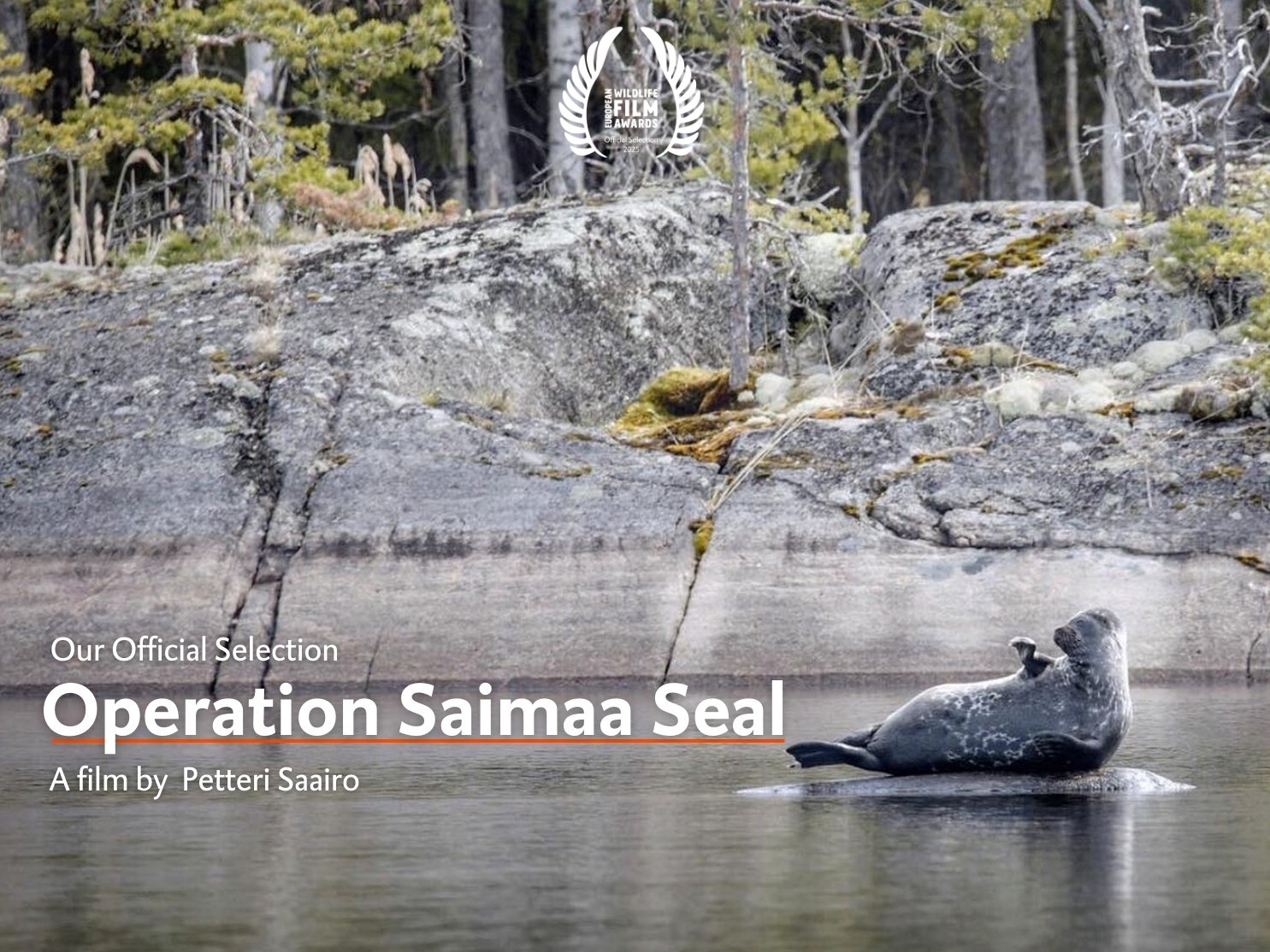 Operation Saimaa Seal