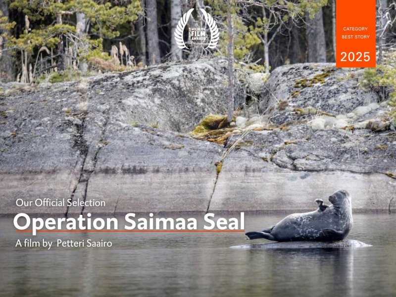 Operation Saimaa Seal