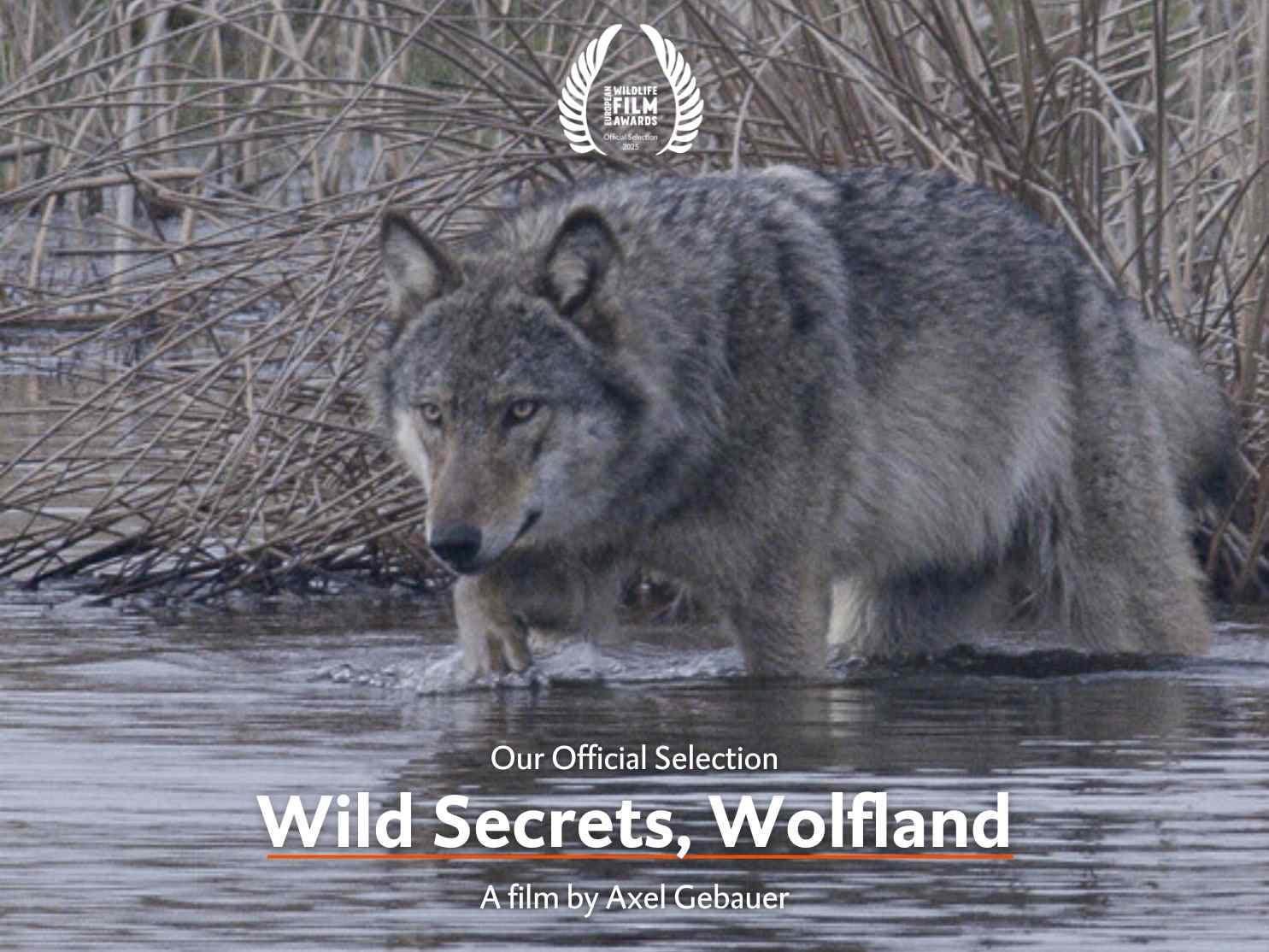 Wild Secrets, Wolfland