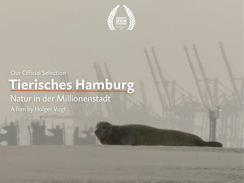 Tierisches Hamburg – Natur in der Millionenstadt