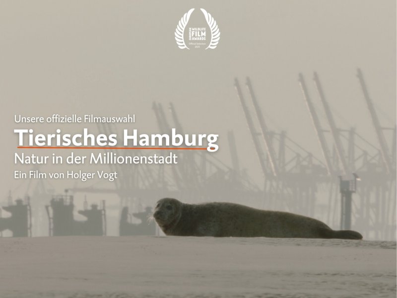 Tierisches Hamburg – Natur in der Millionenstadt