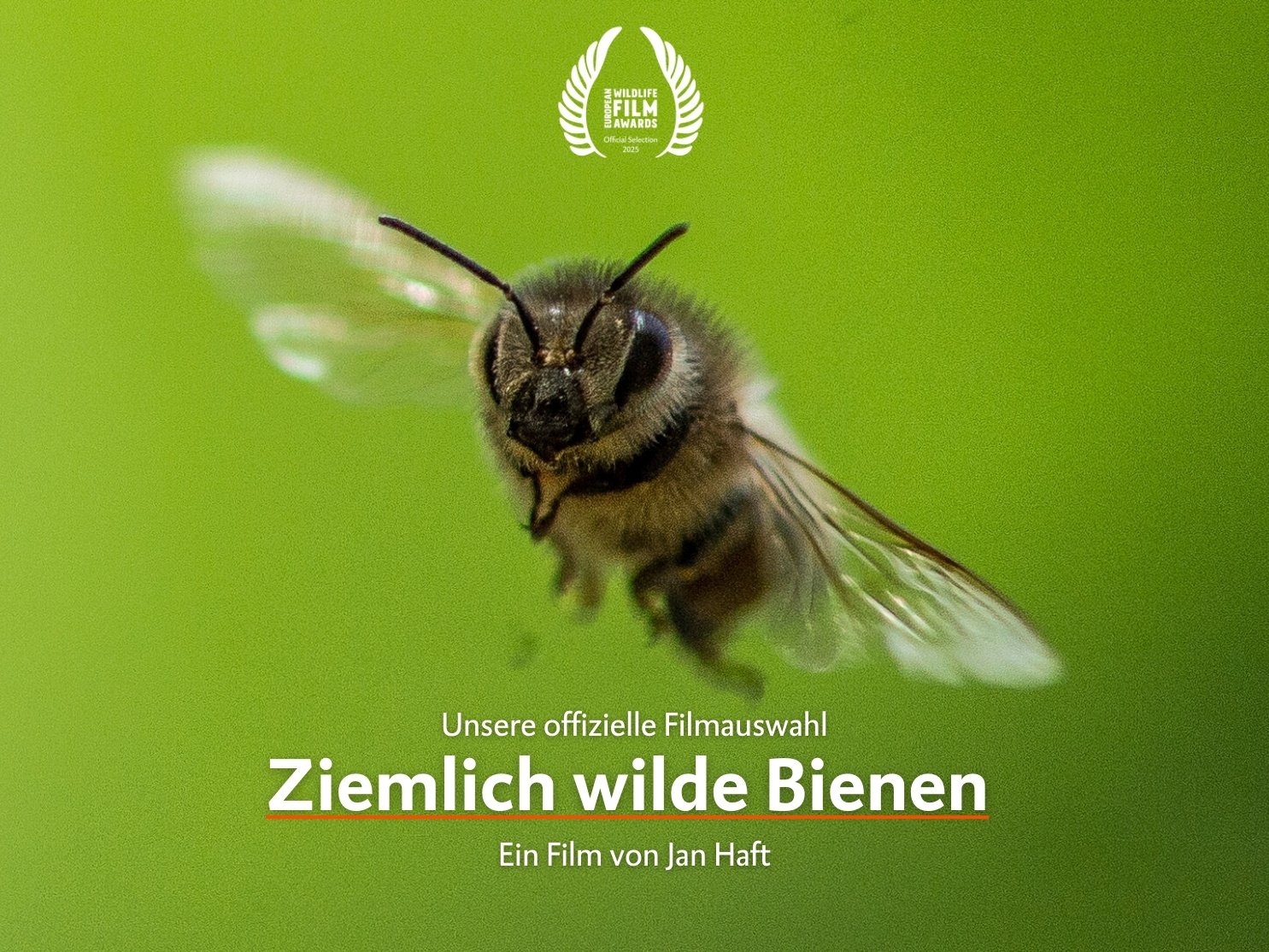 Ziemlich wilde Bienen