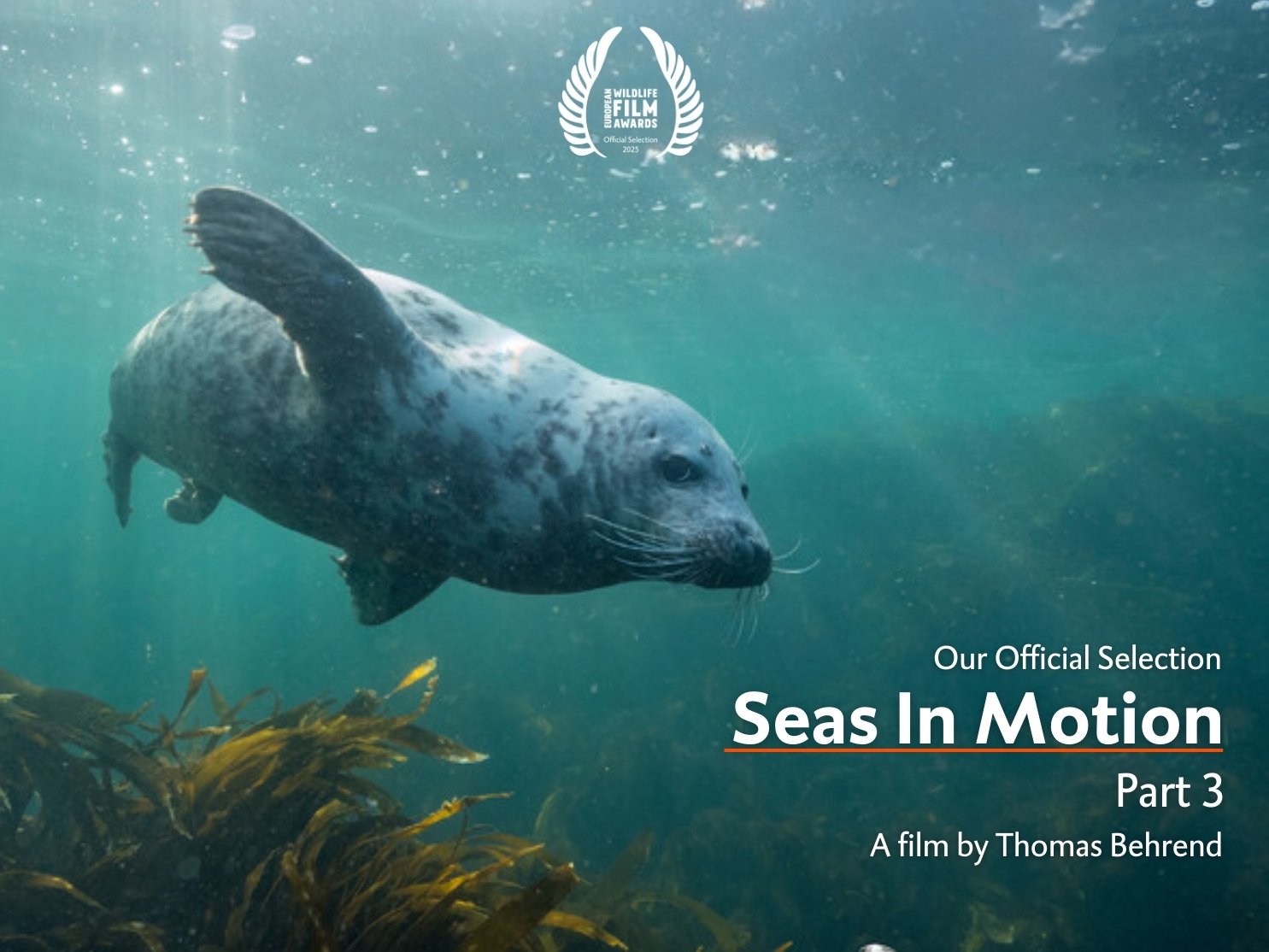 Seas in Motion Part 3