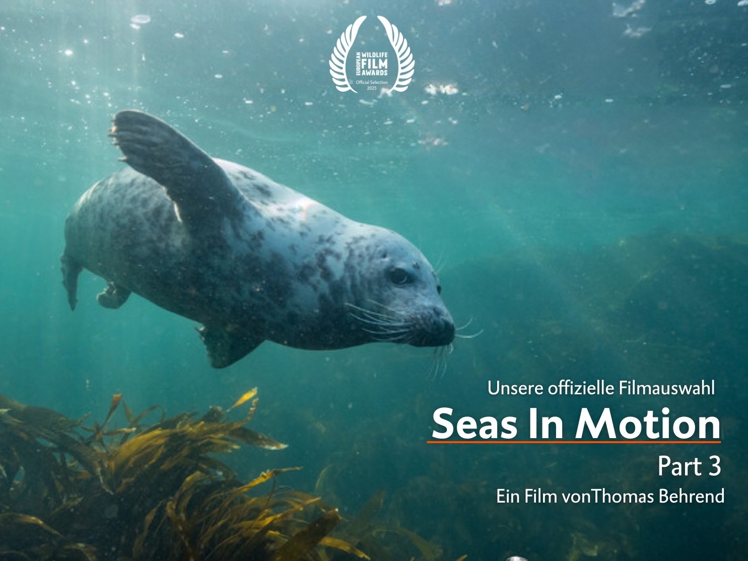 Seas in Motion Part 3