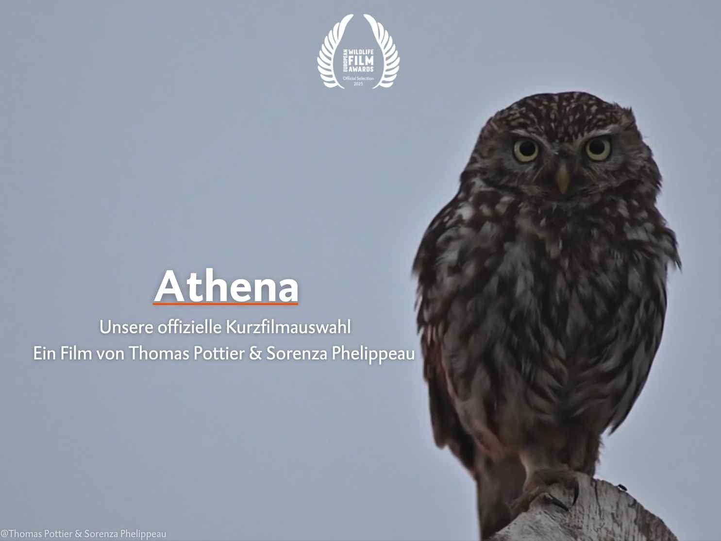 Athena