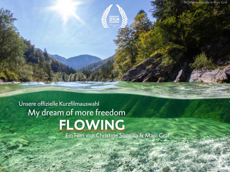 Flowing – My dream of more freedom