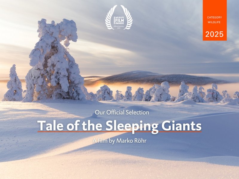 Tale of the Sleeping Giants