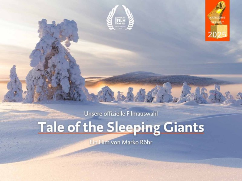 Tale of the Sleeping Giants