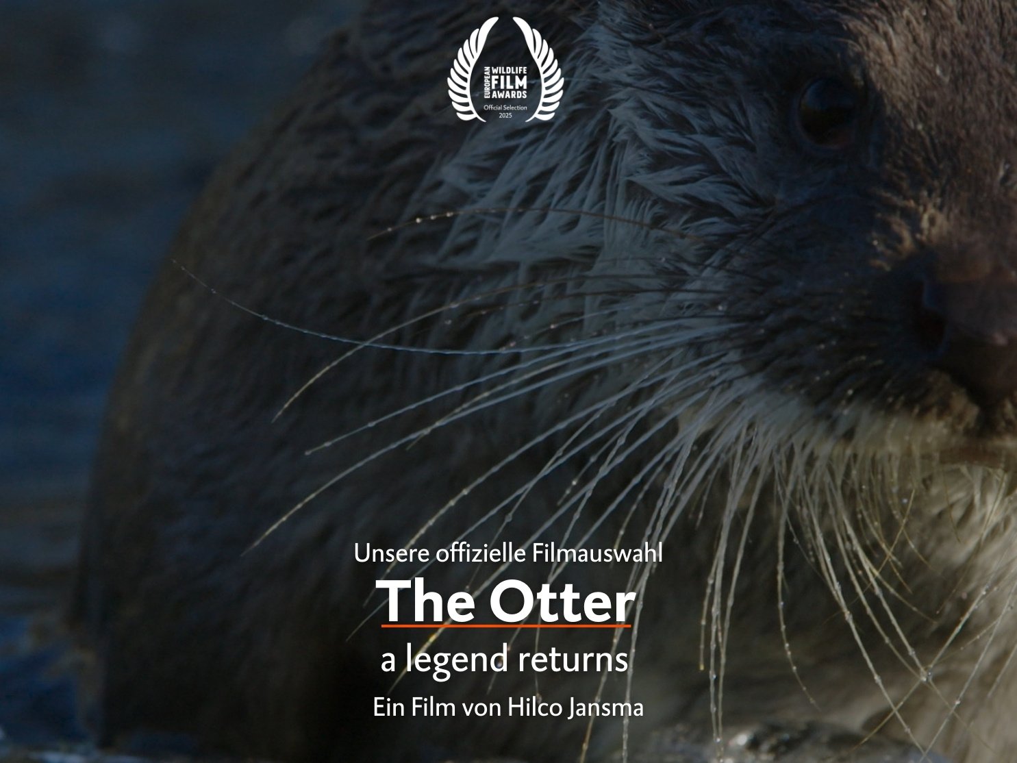 The otter, a legend returns