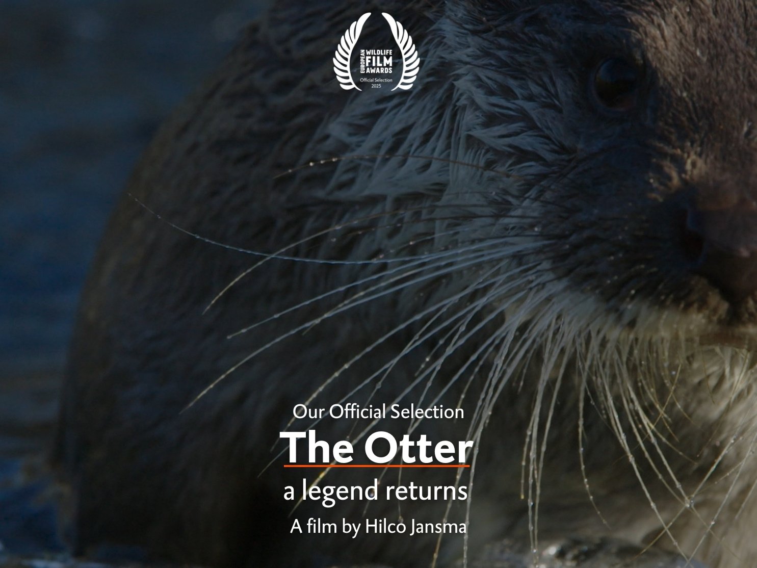 The otter, a legend returns