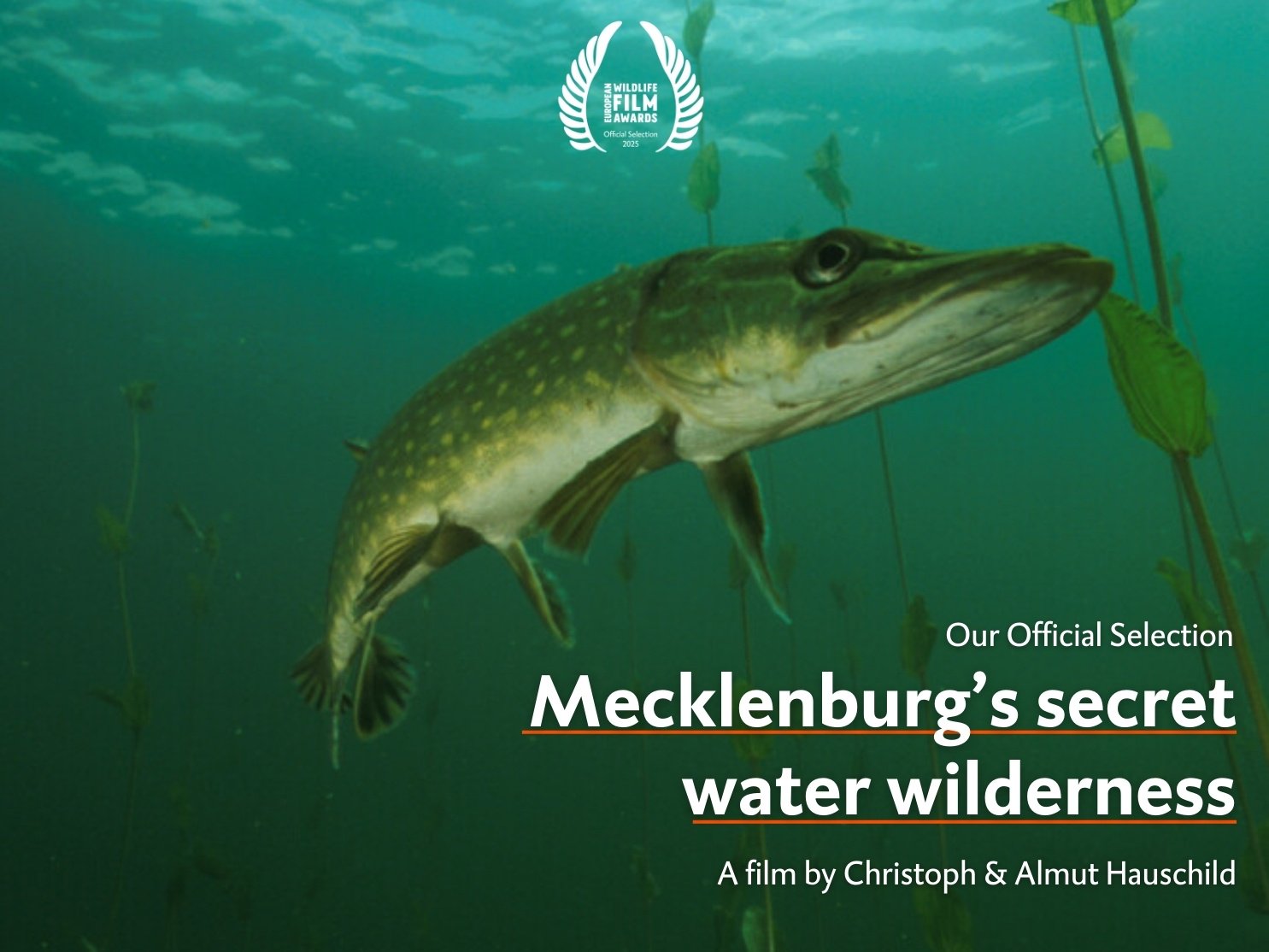 Mecklenburg's secret water wilderness