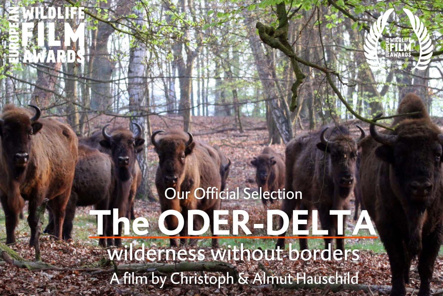 The Oder-Delta wilderness without borders