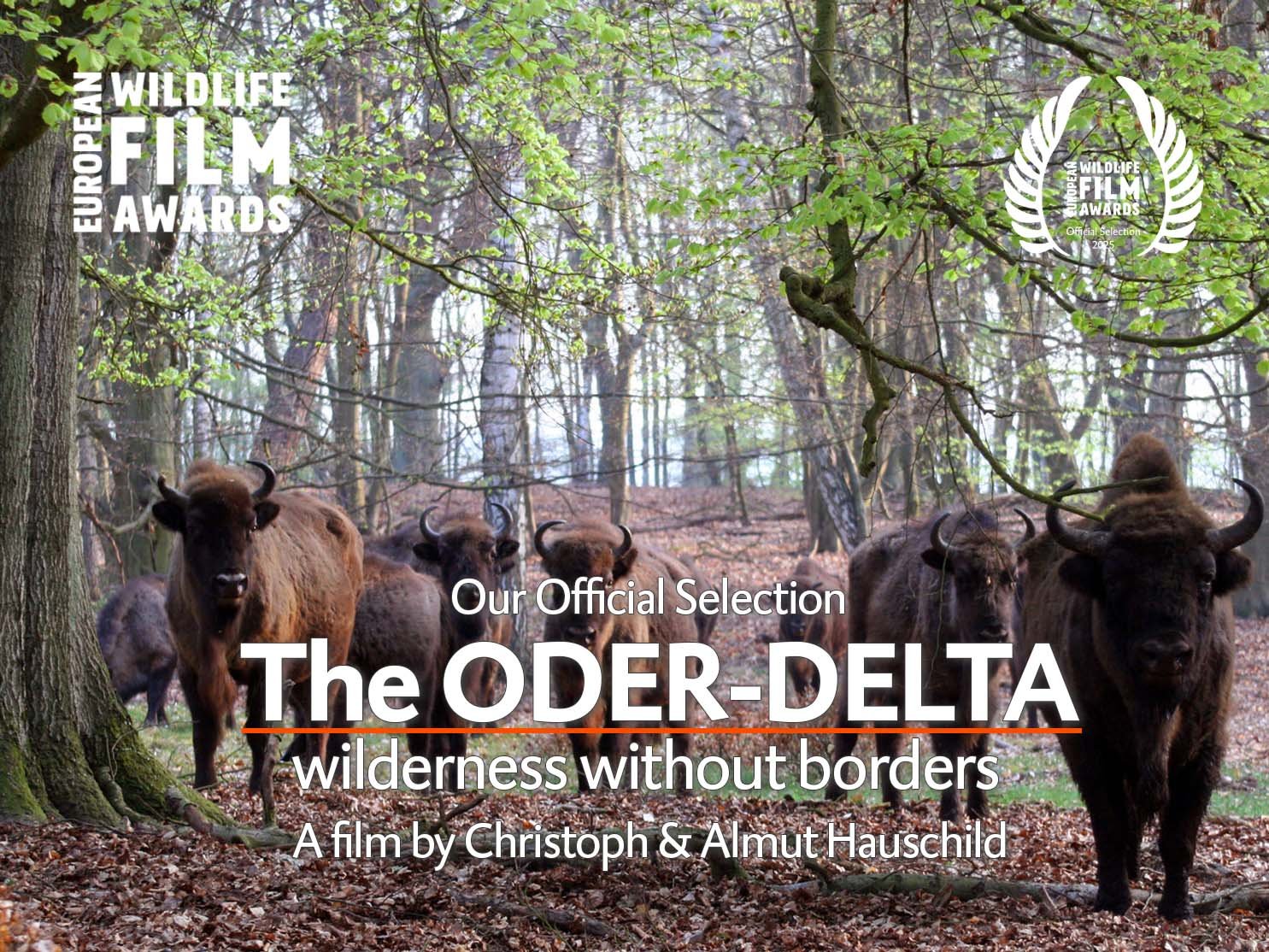 The Oder-Delta wilderness without borders