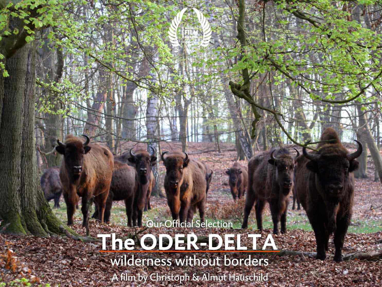 The Oder-Delta wilderness without borders