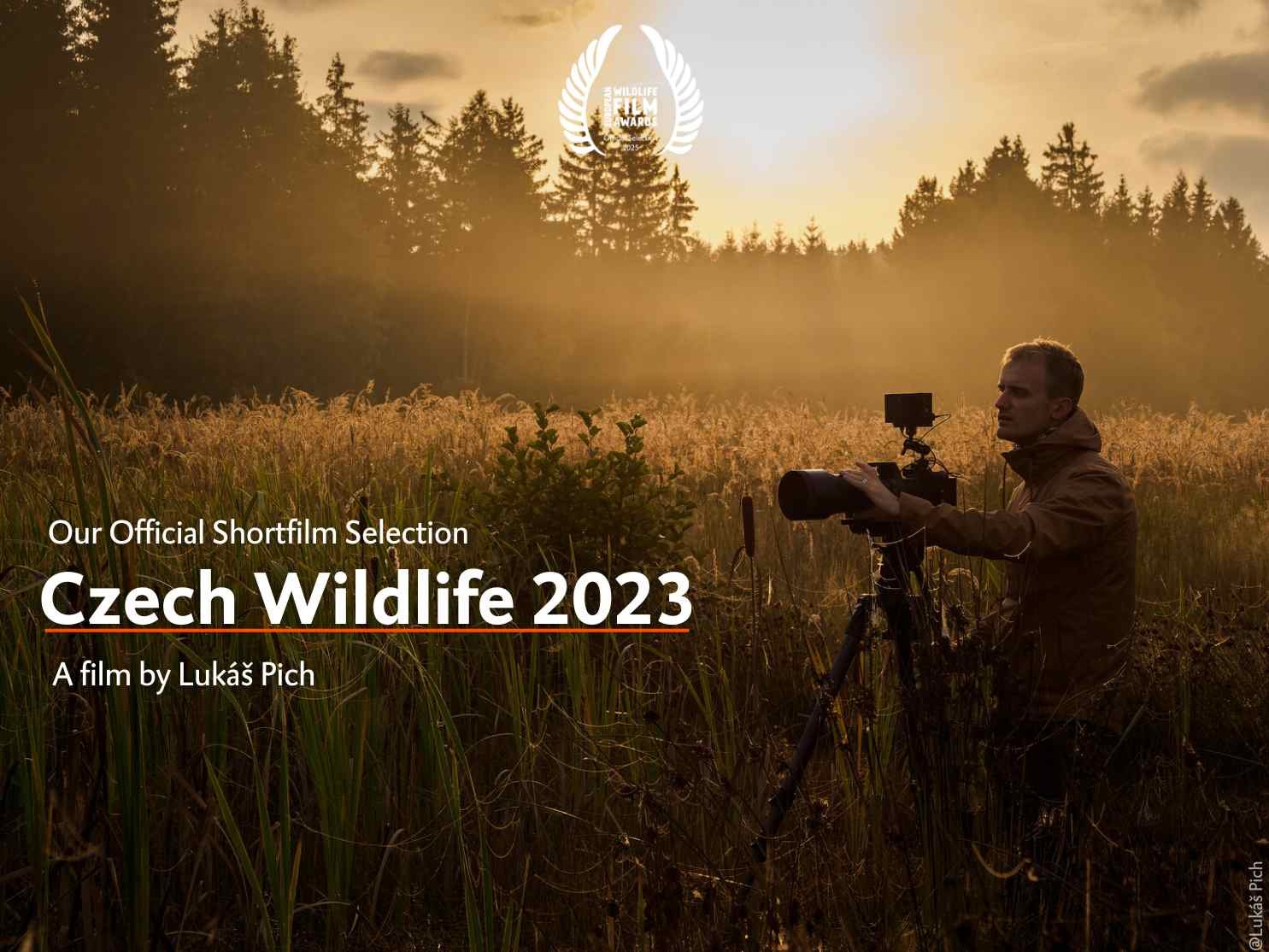 Czech Widlife 2023