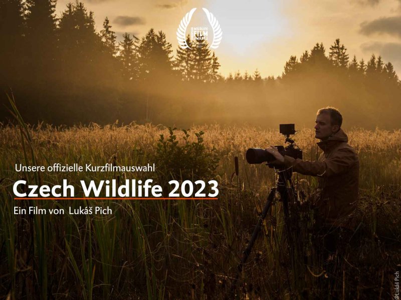 Czech Wildlife 2023