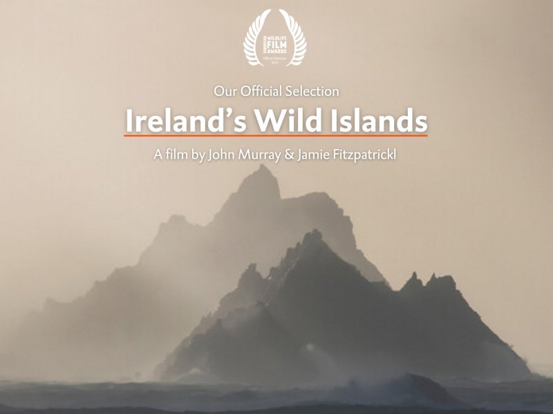 Ireland's Wild Islands